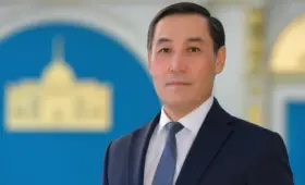 Токаев освободил от должности зампредседателя АНК