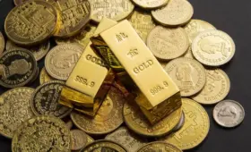 Одна ошибка во время уборки привела к масштабной операции в Турции