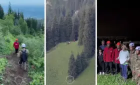 Поездка пенсионерки на канатной дороге закончилась поисковой операцией в горах Алматы