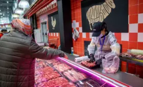 Хватит ли аграриям ГСМ и подорожает ли мясо – ответ Минсельхоза