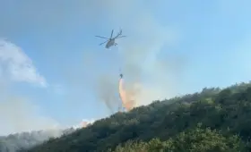 Пожар вспыхнул в горах Алматинской области: к тушению привлекли вертолет