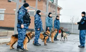 От дронов на трассах до «Киберпола»: как в Кызылординской области укрепляют безопасность