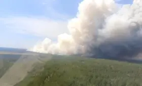 Масштабы пожара в «Семей орманы» сняли с воздуха