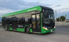 Бегущий мужчина попал под автобус на пешеходном переходе в Алматы