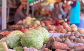 Жителям Алматы подсказали, где купить мясо, овощи и фрукты по доступным ценам