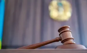 Родственник изнасиловал восьмилетнюю девочку в Жамбылской области