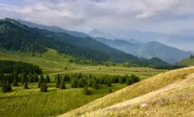 Горы Алматы временно стали опасными: важное оповещение от ДЧС
