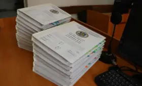 Жуткое убийство Нурай Серикбай в Шымкенте: адвокаты заявили о нарушениях в деле
