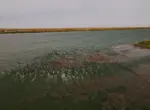 Главные ошибки на воде, приводящие к трагедии, напомнило МЧС