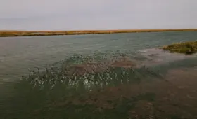 Главные ошибки на воде, приводящие к трагедии, напомнило МЧС
