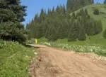 Краснокнижных деревьев нет: на Кок-Жайлау начали строить курорт Almaty SuperSki