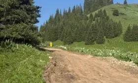 Краснокнижных деревьев нет: на Кок-Жайлау начали строить курорт Almaty SuperSki