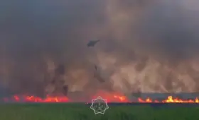 Крупный пожар в «Семей орманы» локализован