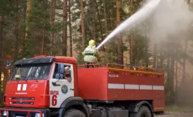 Что помогло остановить распространение пожара в «Семей орманы»