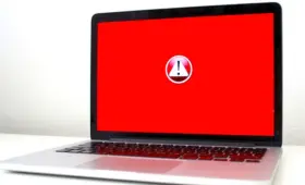 Персональные данные пользователей Daryn.online утекли в Сеть? В Минцифры раскрыли детали проверки