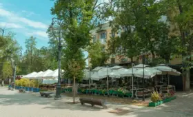 В популярном кафе Алматинской области нашли массу нарушений