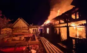 Два брата погибли при пожаре, вернувшись в горящий дом за паспортом и телефоном