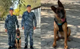 Собака помогла полицейским найти пропавшего казахстанца