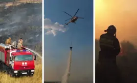 Пожар на трех участках в области Абай: что известно на данный момент
