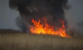 Два человека пострадали из-за степных пожаров в Карагандинской области