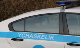 «Отпустите меня!»: видео с полицейскими и подростком обсуждает Казнет