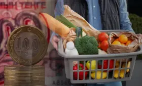 Топливный кризис в России: стоит ли казахстацам ожидать осенью роста цен на продукты