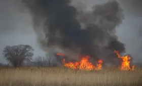 Тушение осложняется сильным ветром: крупный степной пожар вспыхнул в области Абай