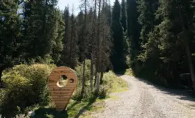 Водоснабжение, экология и безопасность: что обсудили вокруг Almaty SuperSki
