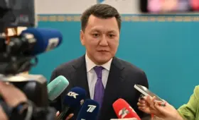 Ерлан Карин: Выборы в Курултай являются началом перезагрузки политической системы