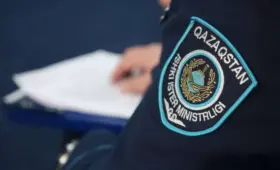 Мертвого мужчину обнаружили в уличном туалете частного дома в Алматы