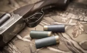 В Казахстане продолжают находить схроны с пропавшим оружием