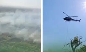 Лесные пожары не отступают: где в Казахстане продолжается тушение
