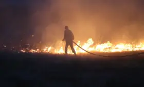 Лесные пожары вспыхнули сразу в трех областях Казахстана