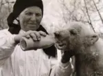 «Я помню эту огромную черепаху»: архивные фото зоопарка Алматы растрогали горожан