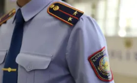 Мучили кошку в прямом эфире за донаты: полиция отреагировала на резонансное видео