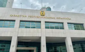 С акимами и министрами: как будет работать Общественная палата при Курултае