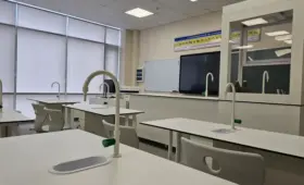 В НИШ начали проверку после скандального видео с сотрудником