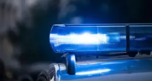 Пожилую женщину арестовали за надругательства над двумя внуками