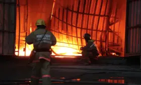 Женщина с двумя детьми погибла в пожаре в ВКО