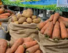 Вкус Прииртышья: павлодарская ярмарка вновь покорила столичных покупателей