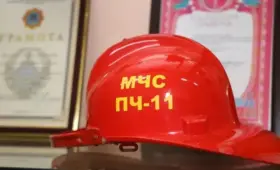 Забралась слишком высоко: в Туркестане спасатели провели необычную операцию