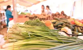 Жителям Алматы дали подсказку на два дня: где купить продукты подешевле