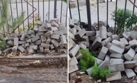 Казахстанцы возмутились из-за молодых сосен, которые закидали кирпичами во время ремонта