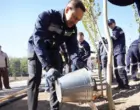 В центральном парке Балхаша создается новая зеленая зона при участии «Казахмыса»