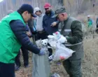 В Алматы очистили горные ущелья от мусора