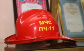 Как спасали двух щенков в Таразе: видео