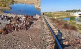 К владельцам скота с важным предупреждением обратилась полиция Казахстана