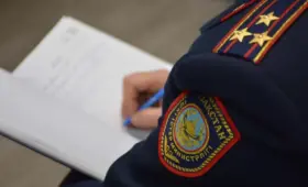 Школьника убили после уроков в Жетысу