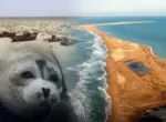 Трагедия Аральского моря – наглядное напоминание: президент Казахстана предупредил об угрозе для Каспия