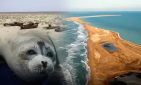 Трагедия Аральского моря – наглядное напоминание: президент Казахстана предупредил об угрозе для Каспия